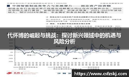 代怀博的崛起与挑战：探讨新兴领域中的机遇与风险分析